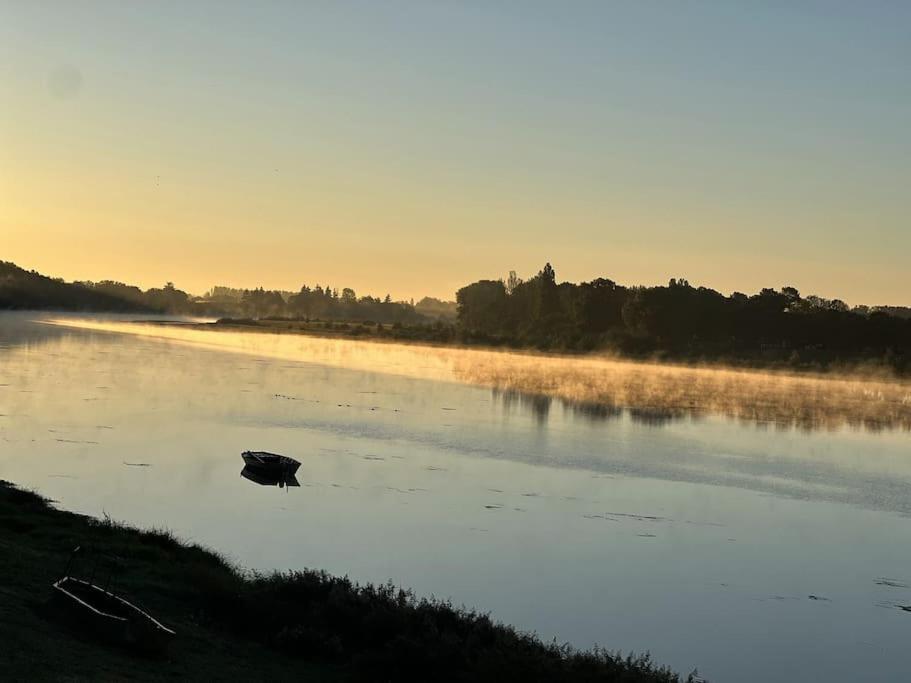 Saint-Denis-de lʼHôtel * Domaine De La Solaie * - Proche Bords De Loireヴィラ エクステリア 写真